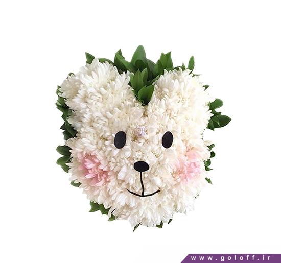 ارسال اینترنتی گل در تهران - عروسک گل آسوکا - Flower Toy | گل آف